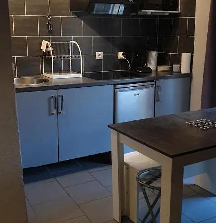 Bienvenue Au Centre Ville Apartment *